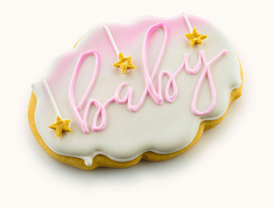 baby shower plaque cookies for girl
