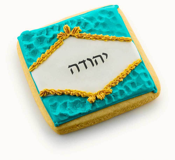 Green  Bar Mitzvah Cookies Tefilin Bag