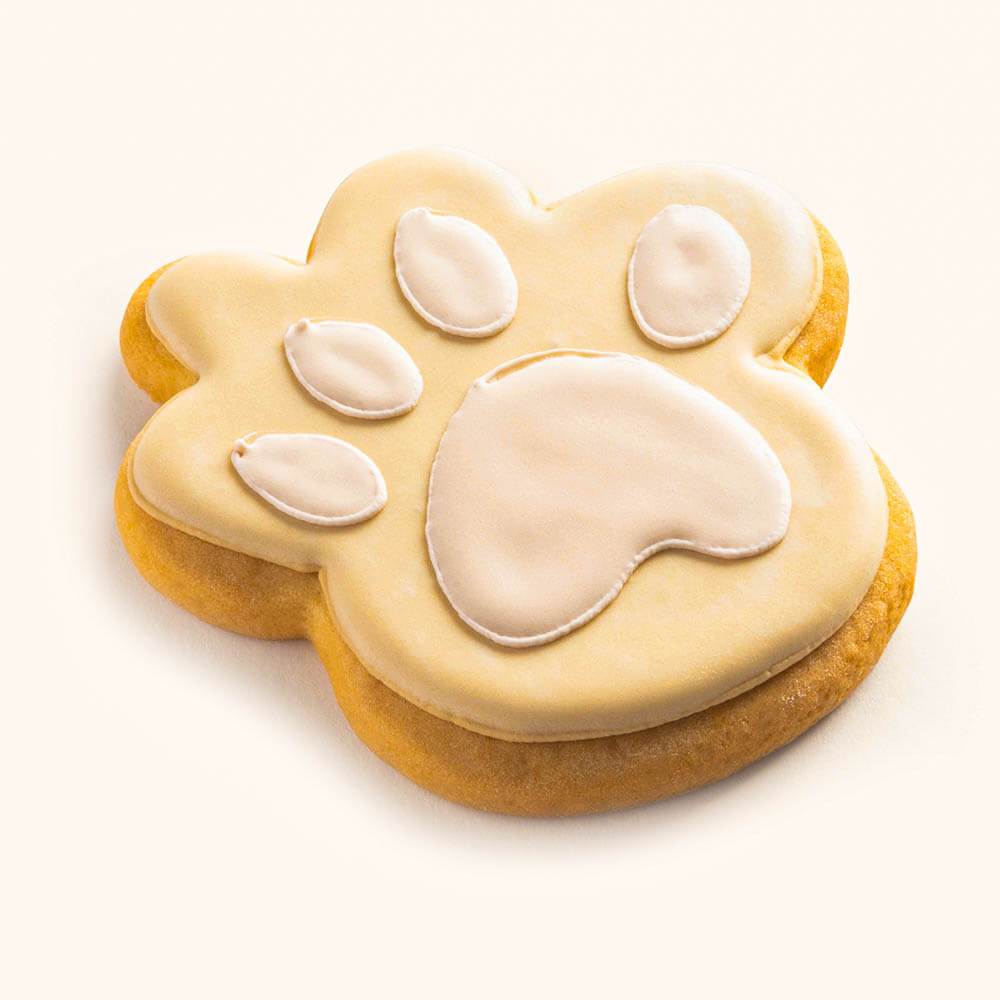 Dog Foot Step Cookie Orange